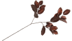 XOOON - Coco Maison - Mulberry Leaves artificial flower H85cm