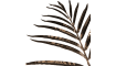 COCOmaison - Coco Maison - Authentique - Areca Palm fleur artificielle H85cm