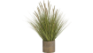 COCO maison - Coco Maison - Landelijk - Pennisetum grass plant H99cm