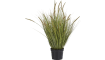 COCOmaison - Coco Maison - Authentique - Pennisetum grass plant H99cm