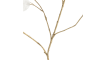 COCOmaison - Coco Maison - Landelijk - Lunaria kunstbloem H92cm