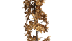 COCOmaison - Coco Maison - Landelijk - Eremurus kunstbloem H105cm