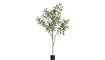 COCO maison - Coco Maison - Authentique - Eucalypthus Tree plant H195cm