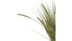 COCOmaison - Coco Maison - Landelijk - Pennisetum grass plant H99cm
