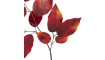 COCOmaison - Coco Maison - Authentique - Salal Leaf fleur artificielle H75cm