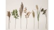 XOOON - Coco Maison - Pampus Grass artificial flower H120cm