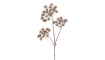 COCOmaison - Coco Maison - Heracleum Branch fleur artificielle H102cm
