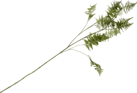 Asparagus Spray Kunstblume H135cm
