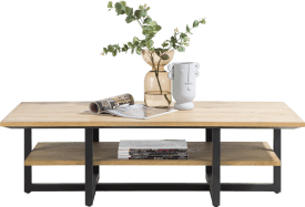 coffee table 120 x 60 cm + 1-niche