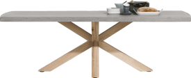 Tisch 210 x 103 cm - Beton Platte