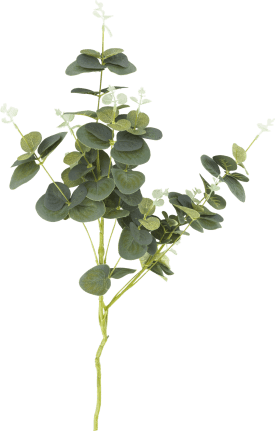 Eucalyptus Spray fleur artificielle H75cm