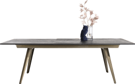 table a rallonge 160 x 100 cm (+ 50 cm)