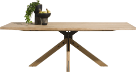 table 230 x 105 cm - pied central