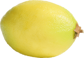 Citron fruit artificielle H6cm