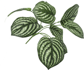 Peperomia Bush Kunstblume H30cm