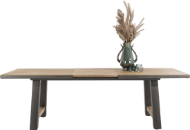 table extensible 190 (+ 60) x 100 cm