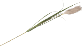 Pampus Grass artificial flower H120cm