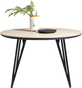dining table round 150 cm