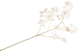 Schefflera fleur artificielle H120cm