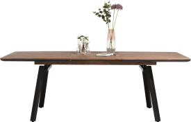 table a rallonge 160 (+ 60) x 100 cm