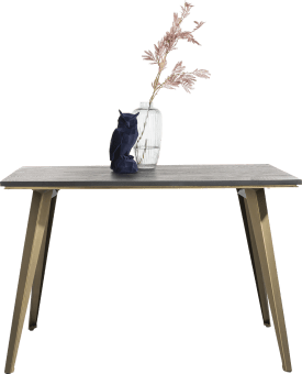 table de bar 140 x 100 cm (hauteur: 92 cm)