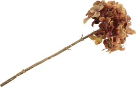 Hydrangea kunstbloem H45cm