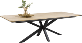 table 180 x 100 cm - metal