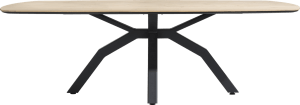 table ovale 220 x 108 cm