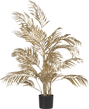 Areca palm plant H105cm