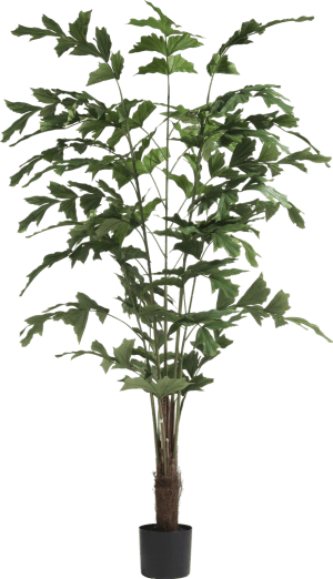 Palm Fishtail Kunstpflanze H155cm