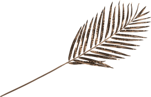 Areca Palm artificial flower H85cm