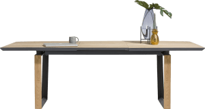 table a rallonge 190 (+ 60) x 100 cm