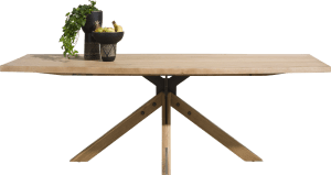 table 230 x 105 cm - pied central