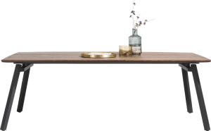 dining table 250 x 100 cm