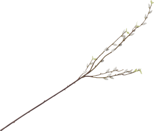 Pussy Willow Spray artificial flower H95cm