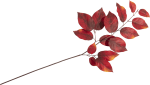 Salal Leaf fleur artificielle H75cm