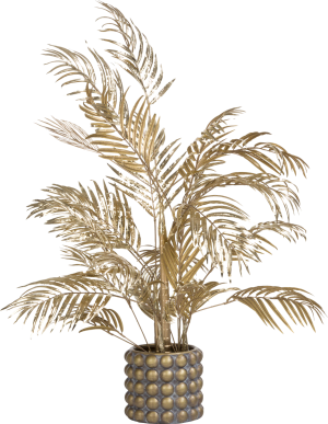 Areca palm plant H105cm