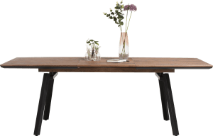 extendable dining table 160 (+ 60) x 100 cm