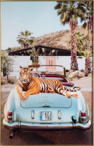 Tiger King toile imprimee 90x140cm