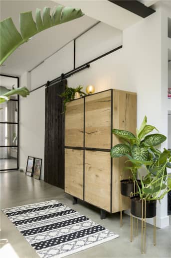 Plantes tendance
