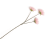 ?_TYPE:PRODUCT