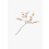?_TYPE:PRODUCT