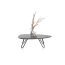 ?_TYPE:PRODUCT