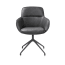 ?_TYPE:PRODUCT