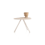 ?_TYPE:PRODUCT