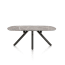 ?_TYPE:PRODUCT