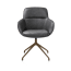 ?_TYPE:PRODUCT