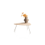 ?_TYPE:PRODUCT