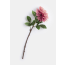 ?_TYPE:PRODUCT
