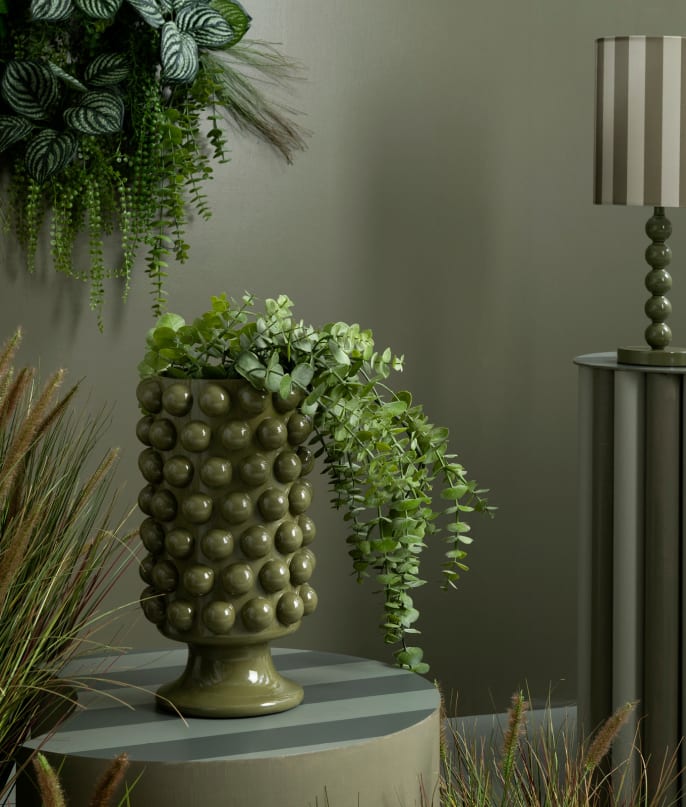 DOTS vaas Olive